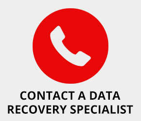 Greenvale Contact Networks for Long Island Data Recovery